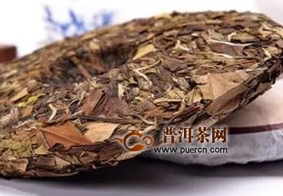 政和白茶的樹種，盤點(diǎn)6大政和白茶的樹種