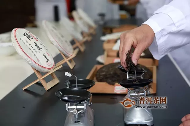中吉号茶业麻黑古树茶系列产品专家鉴评会圆满成功