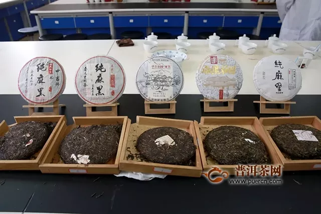 中吉号茶业麻黑古树茶系列产品专家鉴评会圆满成功