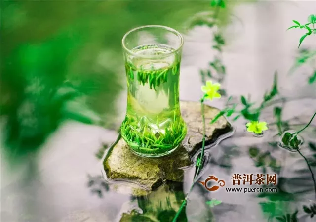 竹葉青是什么季節(jié)的茶？春季！