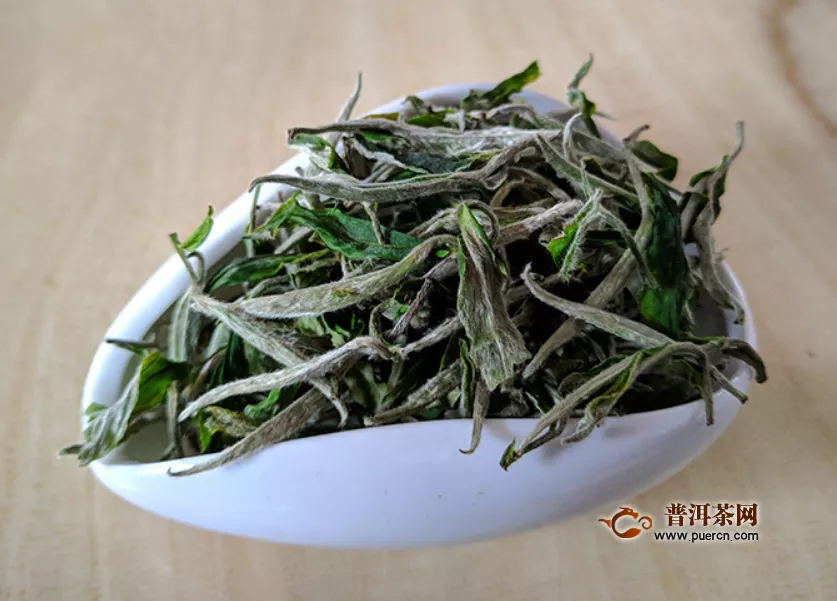 泡福鼎白茶用什么茶具？福鼎白茶怎么泡