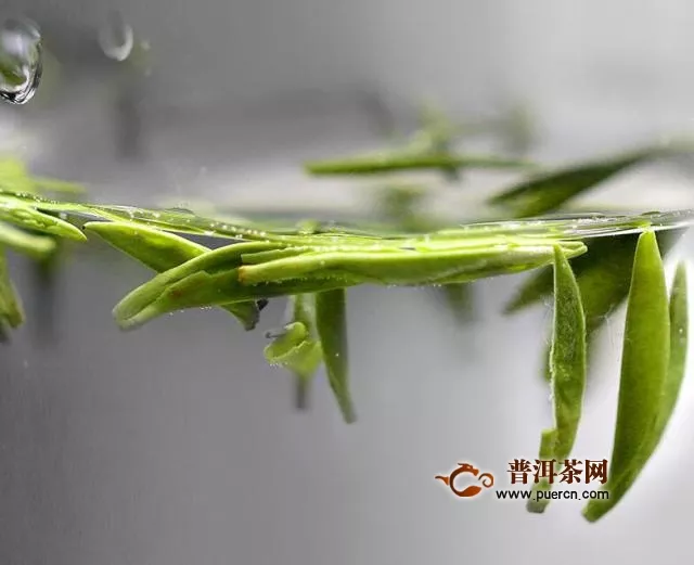 天府龙芽是竹叶青吗？