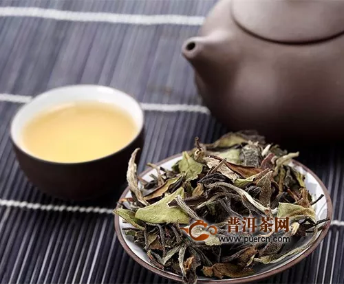 白茶茶叶种类，盘点5大白茶种类