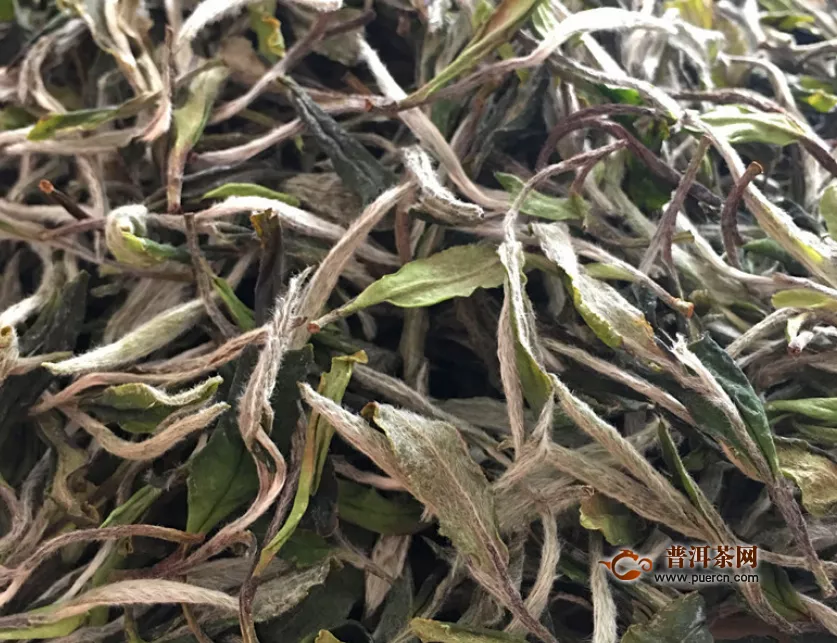 紅茶白茶綠茶功效之三大茶類的功效區(qū)別