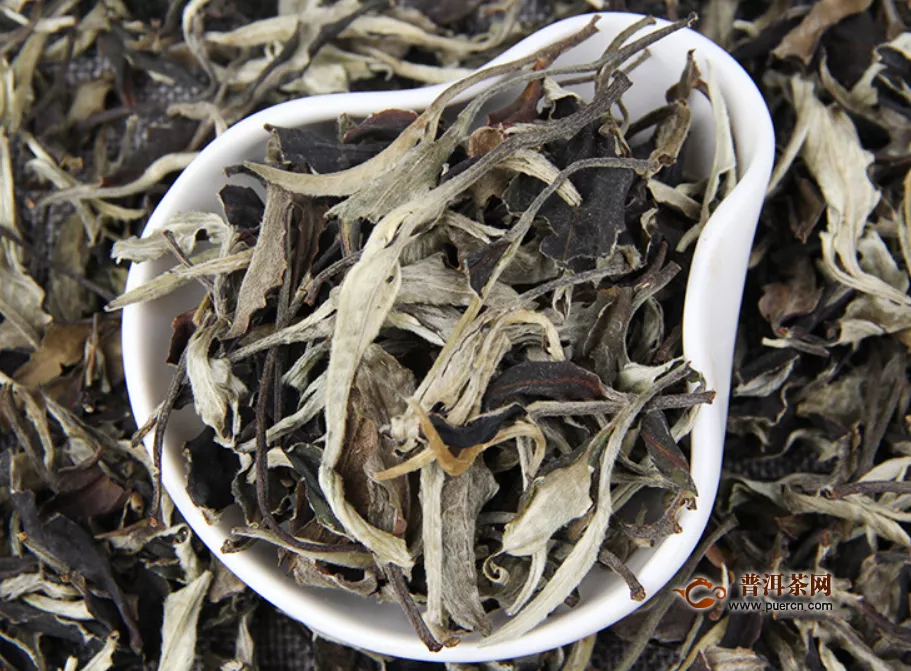 老白茶的药用价值之老白茶具备营养成分？