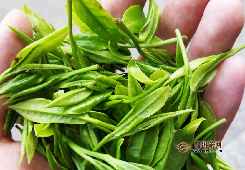 绿茶是什么发酵的茶？绿茶具备哪些特点