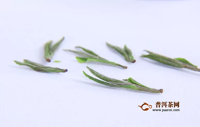  綠茶是烏龍茶嗎？綠茶與烏龍茶之間有哪些不同