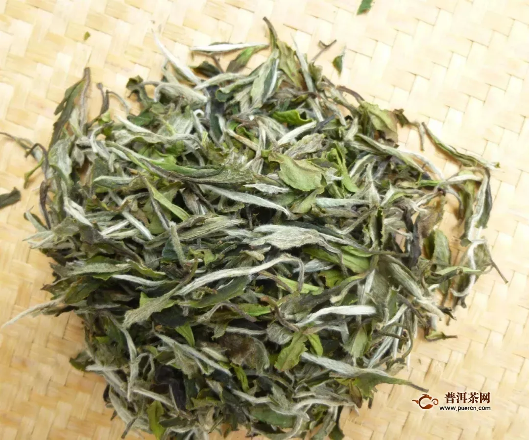 福鼎白茶制作工藝，盤點(diǎn)白茶制作的主要步驟