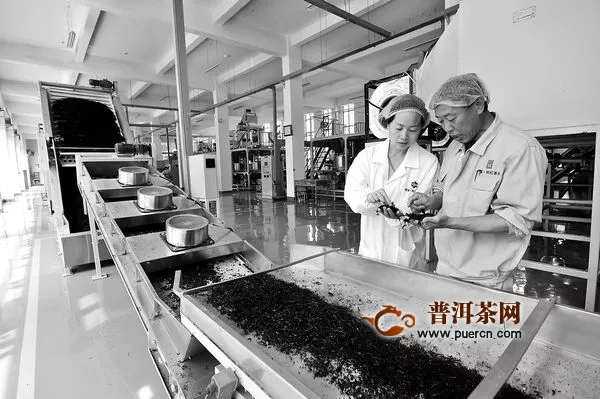 祁门县现代红茶产业加速发展