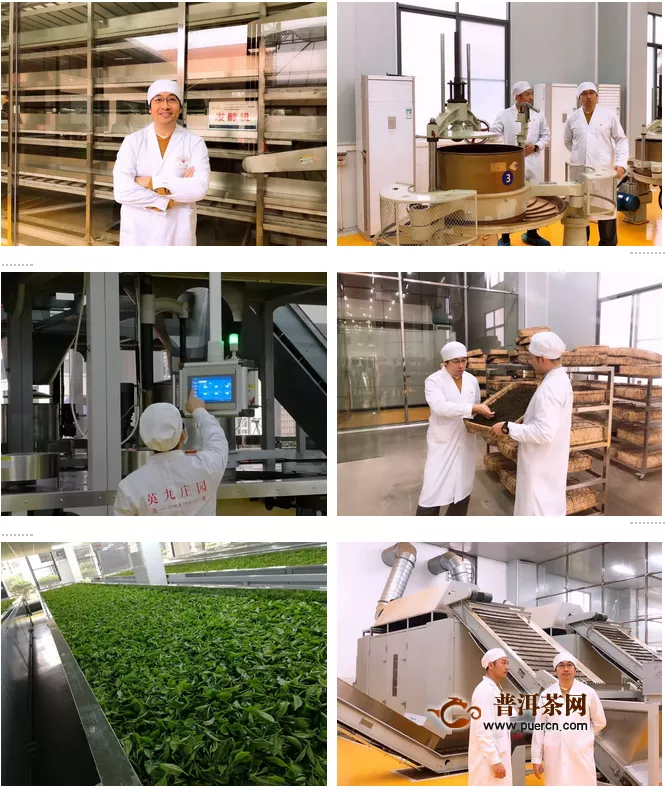速威智慧工厂2019首开先河 助推英德红茶产业发展新篇章