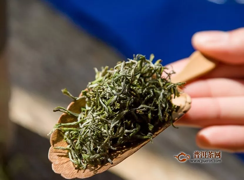 绿茶的保健功效，简述喝绿茶的好处