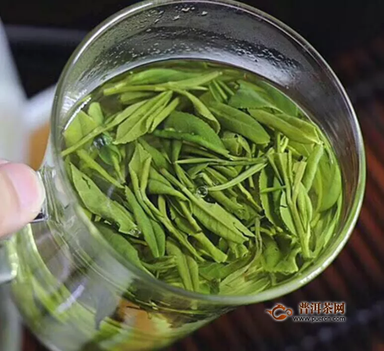 长期喝绿茶对肾有害吗？喝绿茶好处多