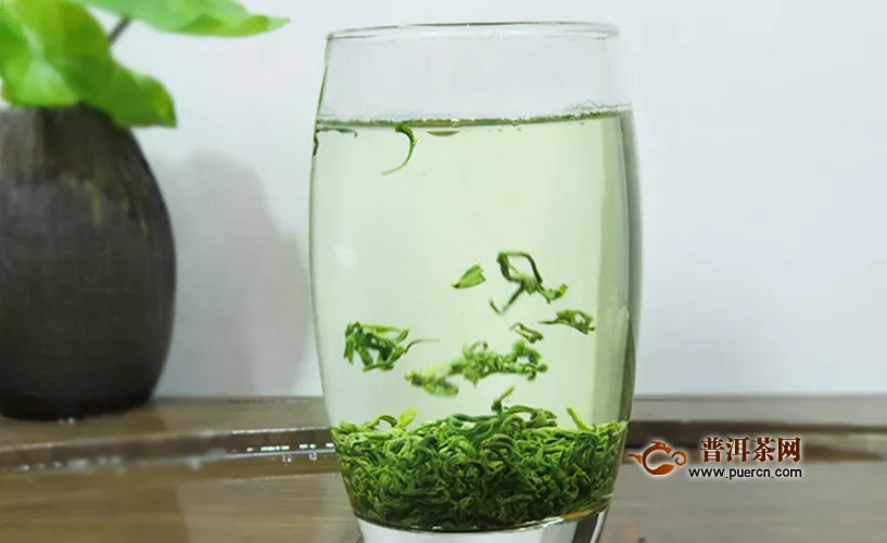 什么品種綠茶好喝？盤點(diǎn)四大綠茶品種