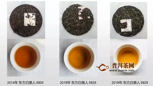 2019中茶蝴蝶东方白美人，“美人”之美，宜品宜赏