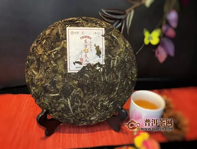 2019中茶蝴蝶东方白美人，“美人”之美，宜品宜赏
