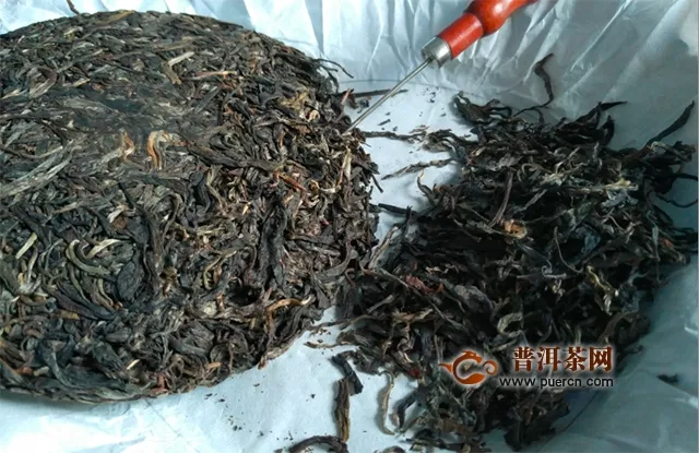 2016年大雪山老树纯料茶春试用评测报告