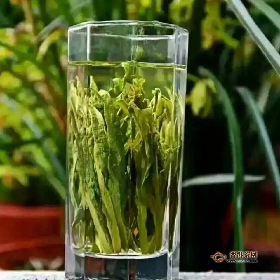 茶叶太平猴魁产地