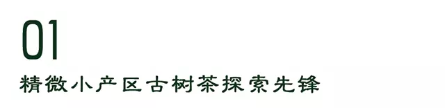 【洪普号6月新品推荐】被“遗弃”的弯弓——黑森林