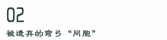 【洪普号6月新品推荐】被“遗弃”的弯弓——黑森林