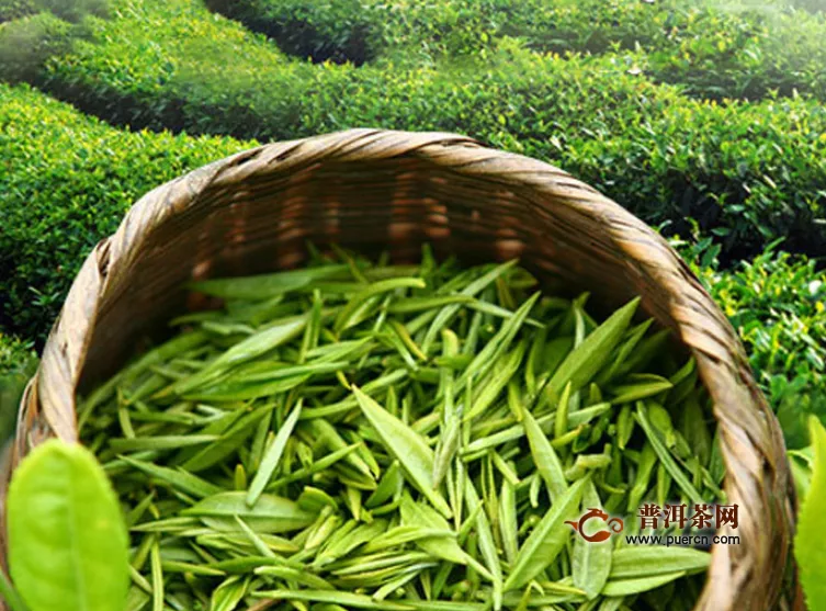 什么绿茶含硒最多，富硒绿茶功效多