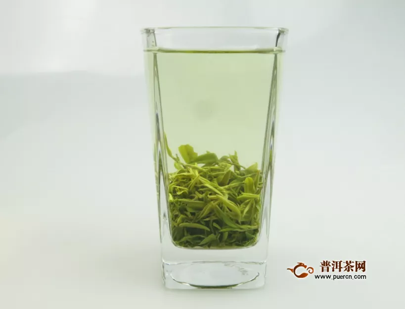 绿茶是凉性的吗？哪些人不能喝？