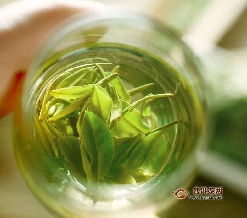 如何购买绿茶？8个步骤帮助您购买优质绿茶
