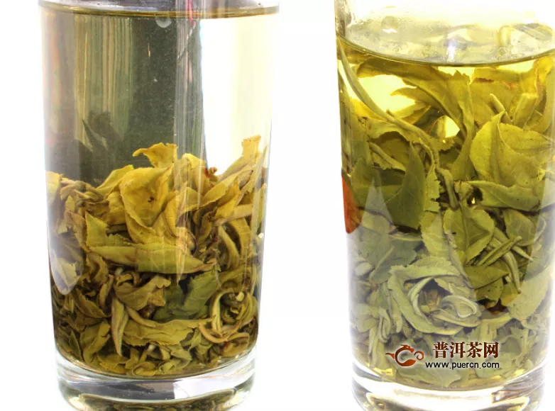 常喝绿茶的危害，正确饮用绿茶好处多