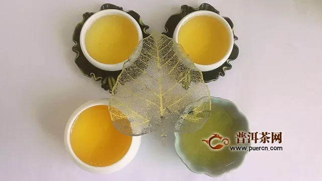 2019年杨普号千山之外生茶 试用评测报告：山外山茶中茶