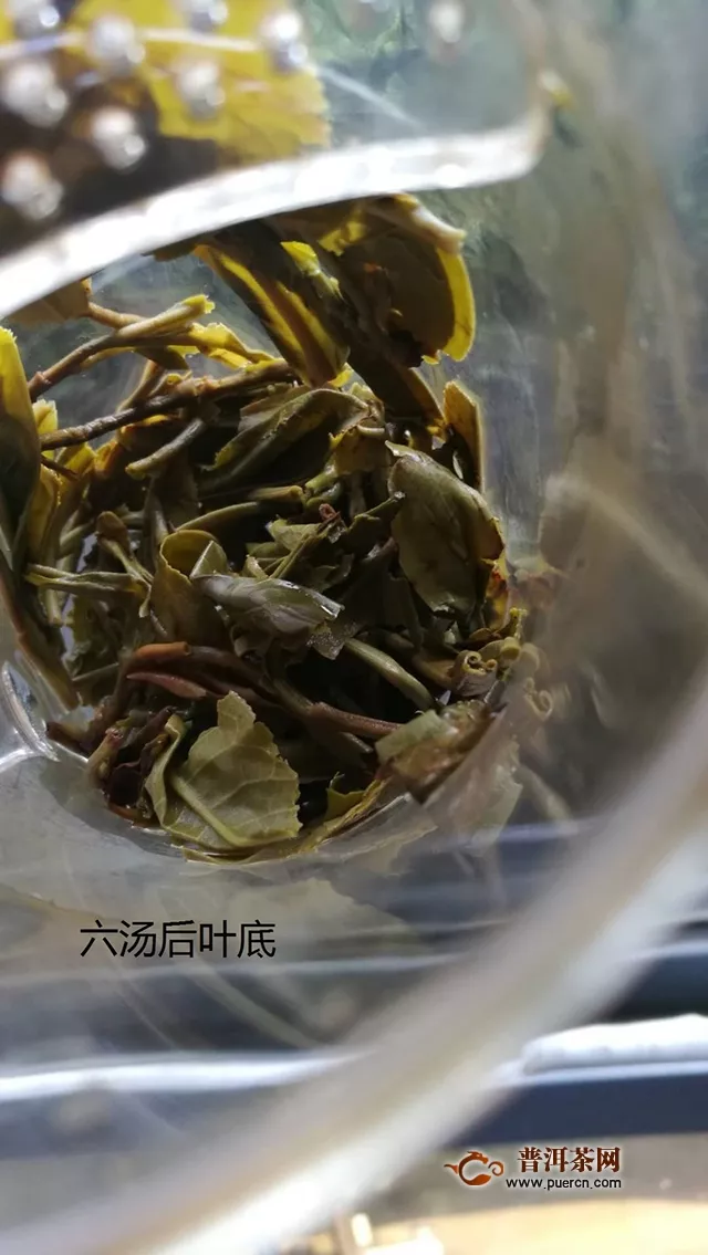 2019年杨普号千山之外生茶试用评测报告