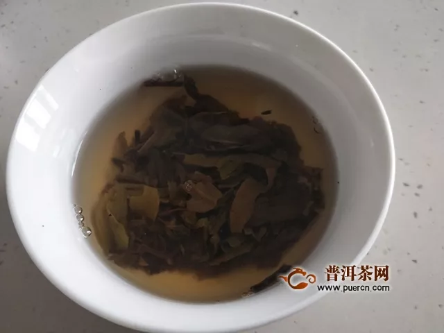 2016年大雪山老樹純料茶春茶試用評(píng)測(cè)報(bào)告