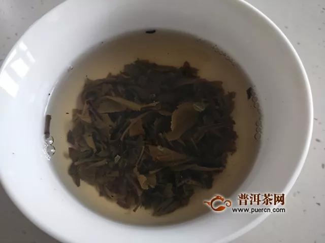 2016年大雪山老樹純料茶春茶試用評(píng)測(cè)報(bào)告