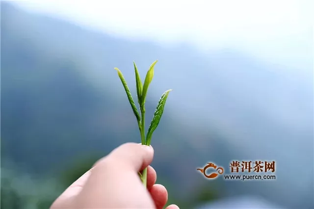 太平猴魁什么工藝？