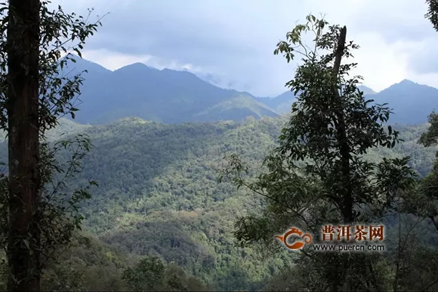 岁月知味新品｜百花潭：百花秘境香韵犹存