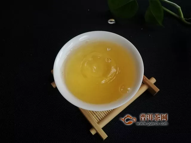 千山之外覓香茗，百年之期待佳人 ｜2019楊普號千山之外試用報告