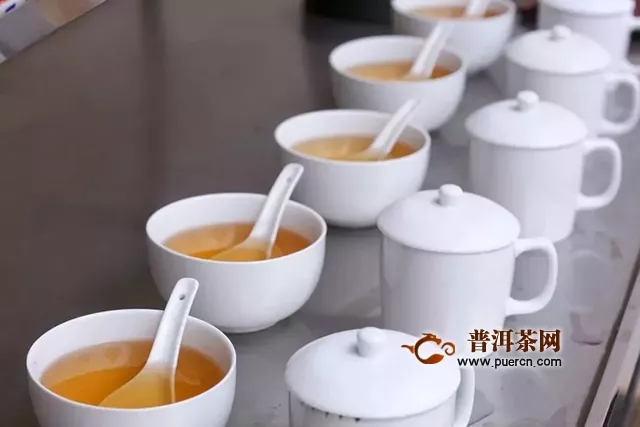 不懂品茶，怎么買茶？｜大益茶道師親授：“五感三性”品茶法