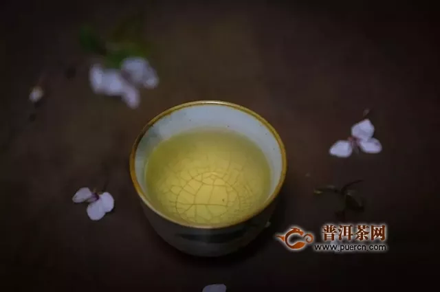 不懂品茶，怎么買茶？｜大益茶道師親授：“五感三性”品茶法