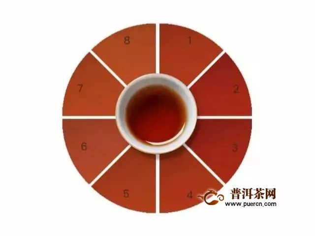 不懂品茶，怎么買茶？｜大益茶道師親授：“五感三性”品茶法