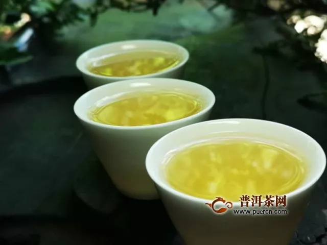 试饮2019年中茶普洱中茶大红印七十周年尊享版生茶