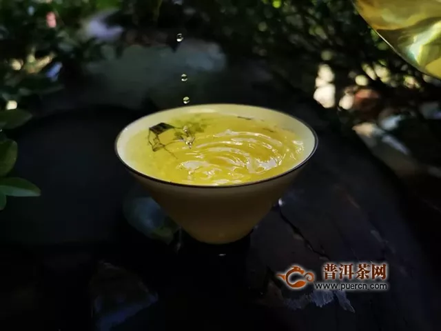 試飲2019年中茶普洱中茶大紅印七十周年尊享版生茶