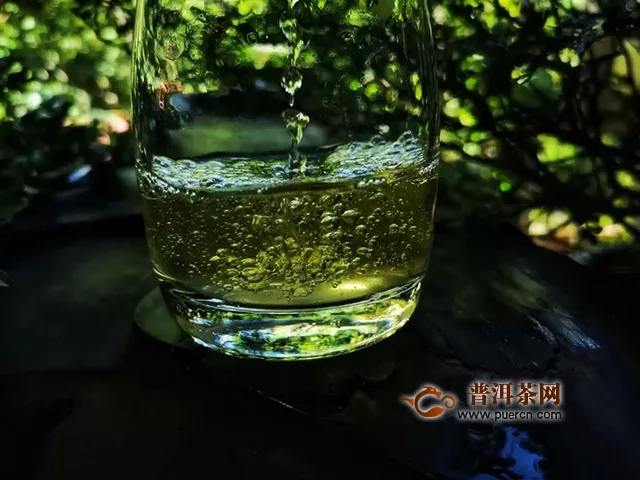 試飲2019年中茶普洱中茶大紅印七十周年尊享版生茶