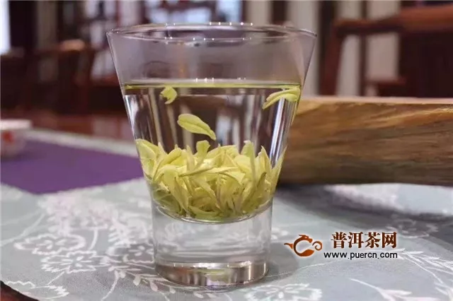 冲泡安吉白茶方法和技巧