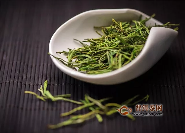 安吉白茶是陳的好還是新茶好？新茶！