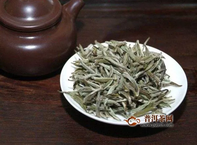 福鼎白茶萎凋方法，福鼎白茶的关键步骤——萎凋