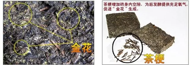 喝黑茶好還是喝普洱茶好？有誰(shuí)知道有種普洱茶叫普洱黑茶