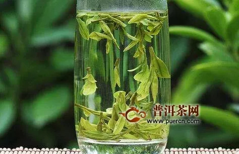 休寧松蘿茶特點(diǎn)及文化歷史介紹