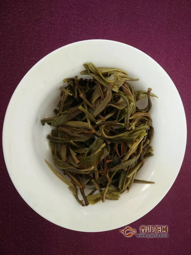 2019年楊普號(hào)圭臬苦甜茶生茶試用評(píng)測(cè)報(bào)告