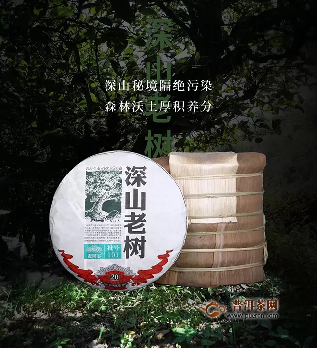 『Tea-新品』2019年老同志深山老树——生茶