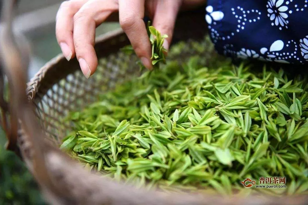 伍家台贡茶价格多少钱一斤