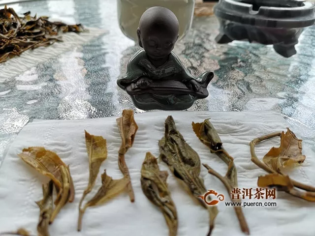 2019年興海茶業(yè)錦繡山河生茶品鑒詳情