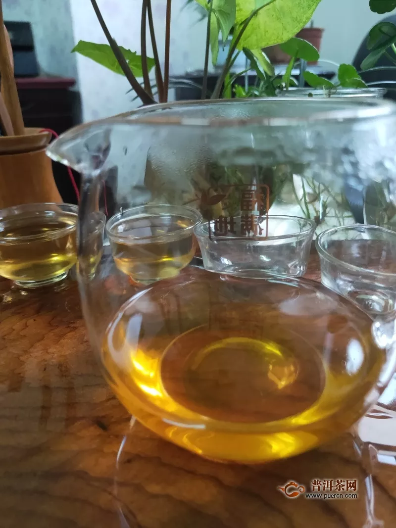2019年兴海茶业锦绣山河生茶试用评测：适口好刺激低，第一次尝试两次多维度品饮